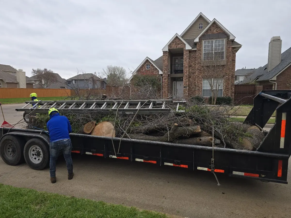 Expert Tree Fertilization with proper safety equipment in Sturgis